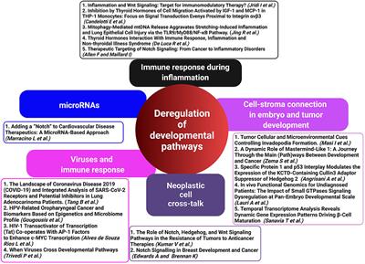 Editorial: Targeting Developmental Pathways in Inflammation and Disease